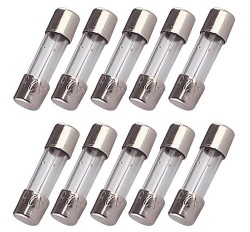 10 FUSIBLES 5X20 10 A