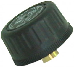 BOUCHON 1/2 FEMELLE CHAUDIERE POLTI SLDB0138