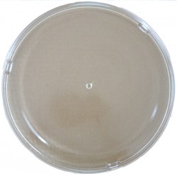 PLATEAU TOURNANT MICRO-ONDES BRANDT Diam. 30cm